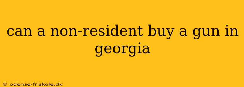 can a non-resident buy a gun in georgia