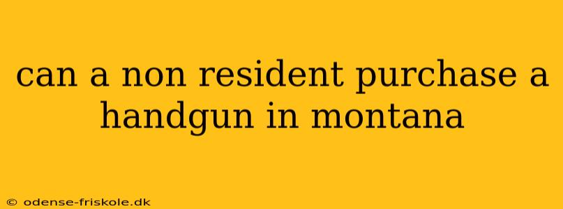 can a non resident purchase a handgun in montana