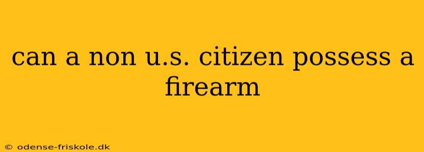 can a non u.s. citizen possess a firearm