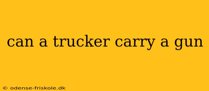 can a trucker carry a gun