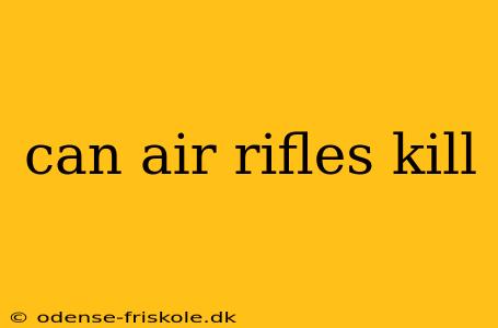 can air rifles kill