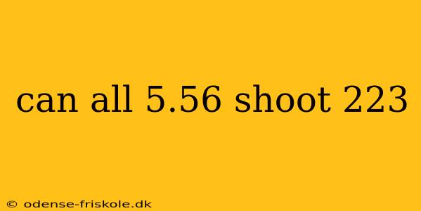 can all 5.56 shoot 223