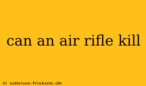 can an air rifle kill