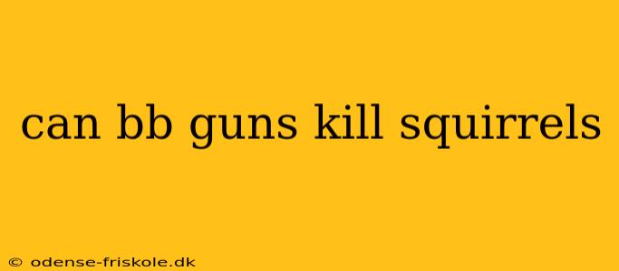 can bb guns kill squirrels