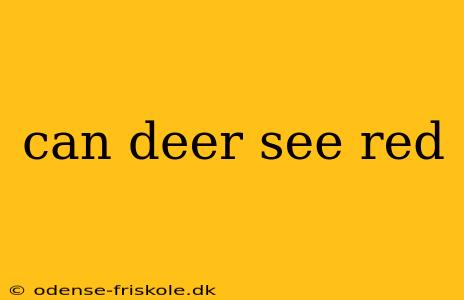 can deer see red