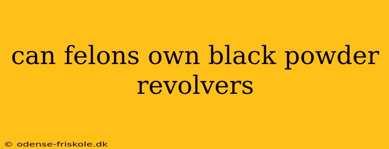 can felons own black powder revolvers