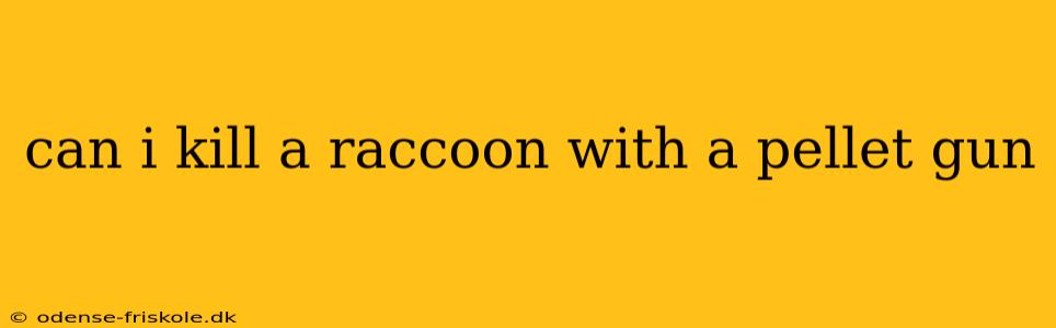 can i kill a raccoon with a pellet gun