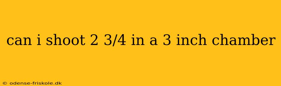 can i shoot 2 3/4 in a 3 inch chamber