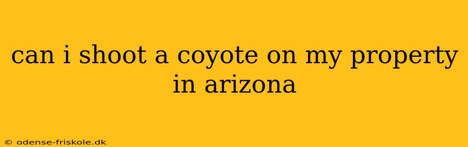 can i shoot a coyote on my property in arizona