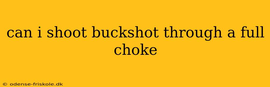 can i shoot buckshot through a full choke