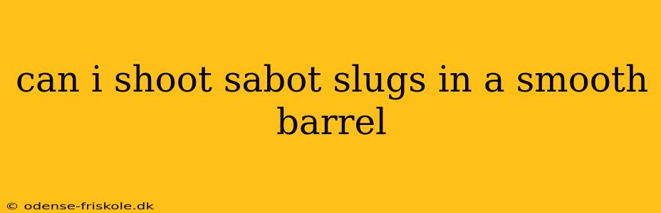 can i shoot sabot slugs in a smooth barrel