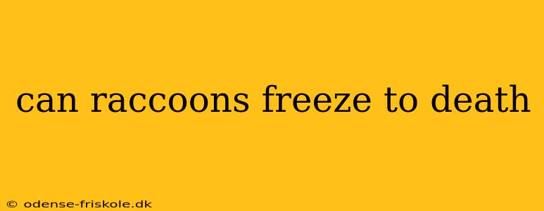 can raccoons freeze to death