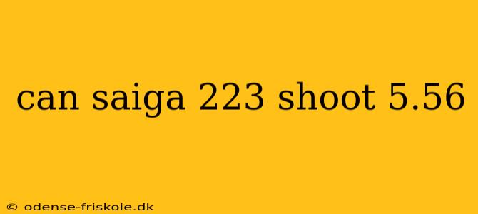 can saiga 223 shoot 5.56