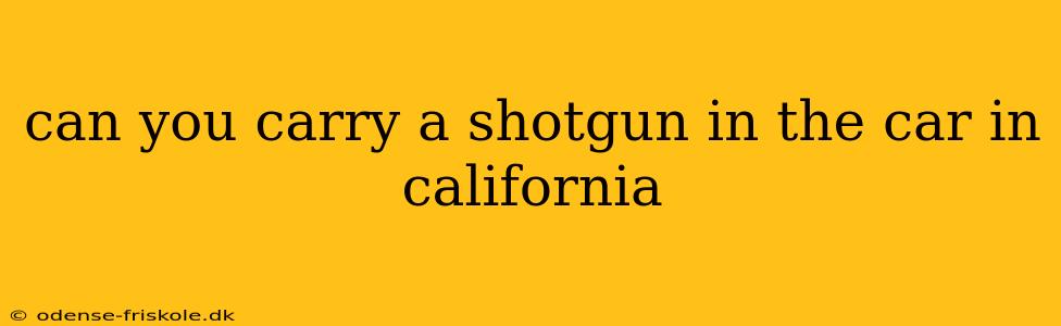 can you carry a shotgun in the car in california