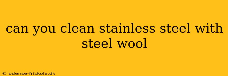 can you clean stainless steel with steel wool