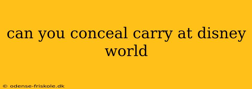 can you conceal carry at disney world