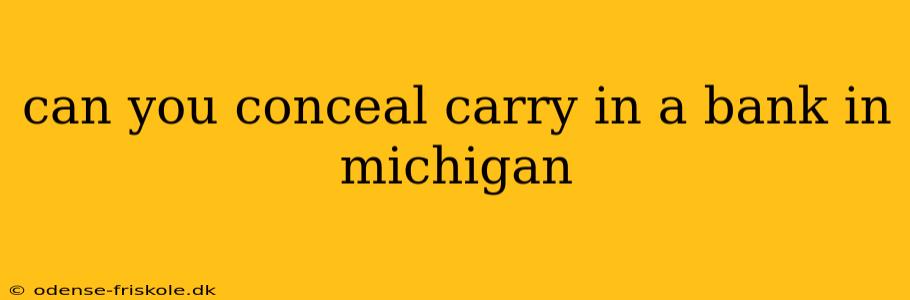 can you conceal carry in a bank in michigan