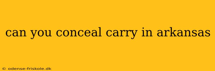 can you conceal carry in arkansas