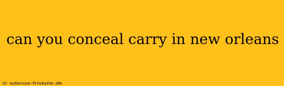 can you conceal carry in new orleans