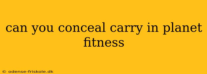 can you conceal carry in planet fitness