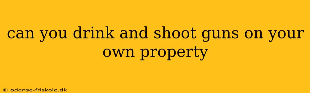 can you drink and shoot guns on your own property