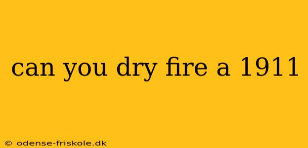 can you dry fire a 1911