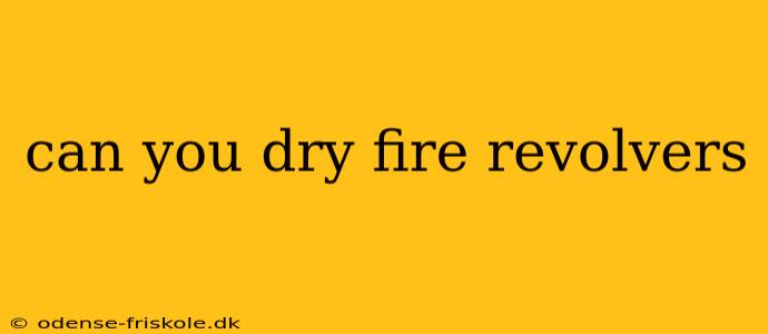 can you dry fire revolvers