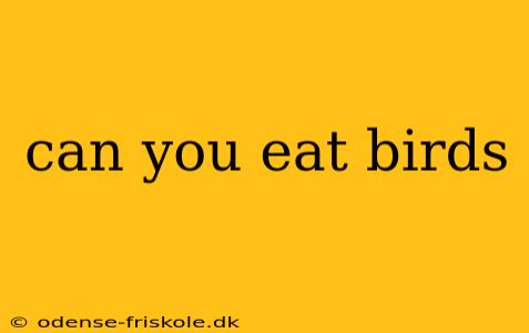 can you eat birds