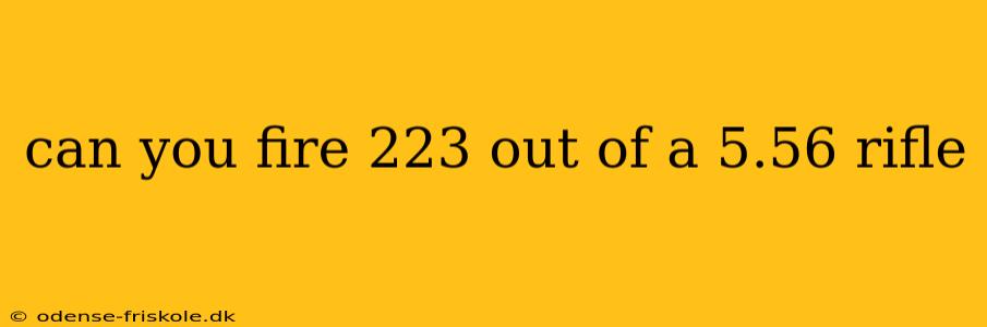 can you fire 223 out of a 5.56 rifle