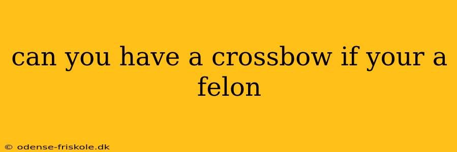 can you have a crossbow if your a felon