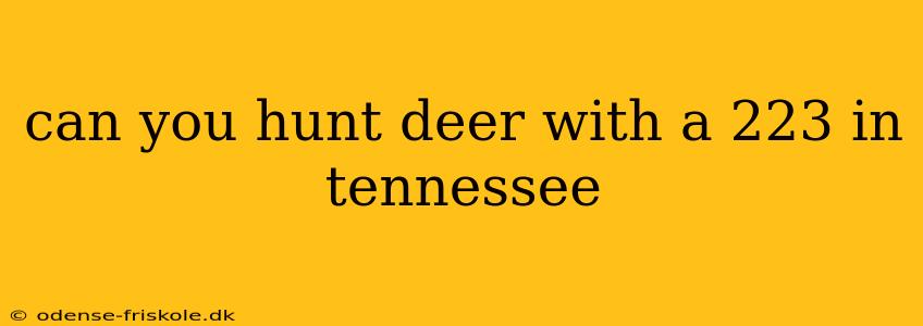 can you hunt deer with a 223 in tennessee