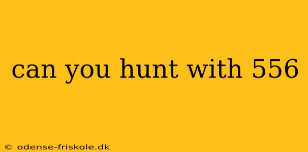 can you hunt with 556