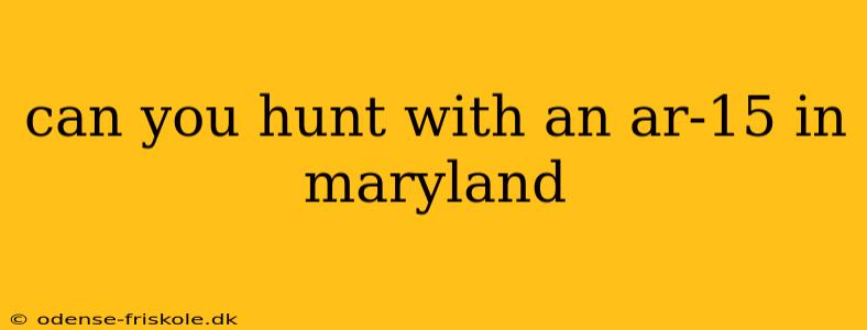 can you hunt with an ar-15 in maryland