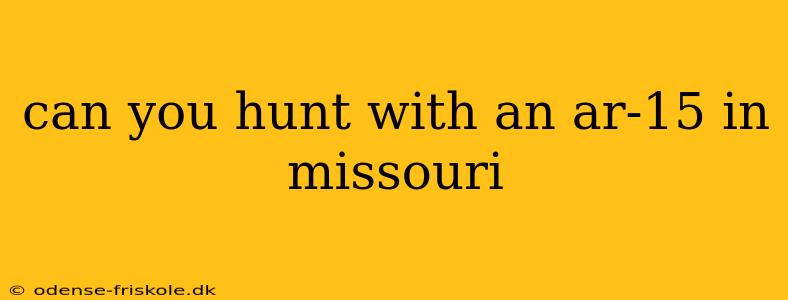 can you hunt with an ar-15 in missouri