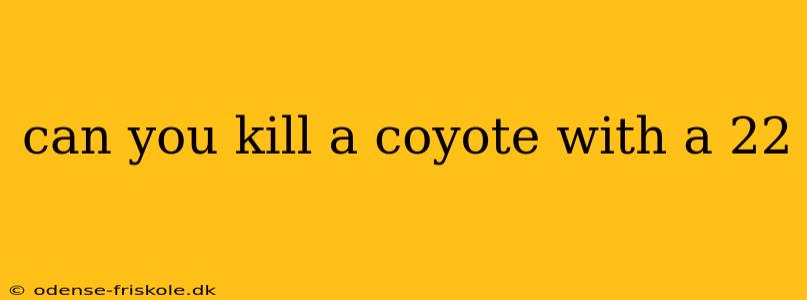 can you kill a coyote with a 22