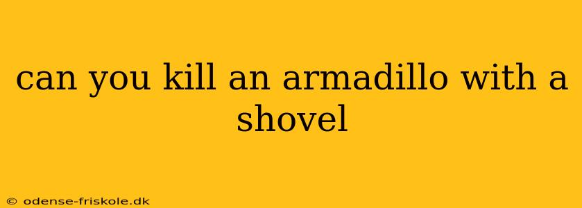 can you kill an armadillo with a shovel