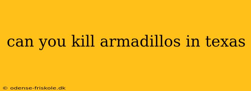 can you kill armadillos in texas