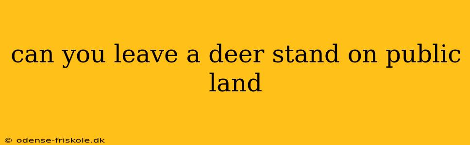 can you leave a deer stand on public land