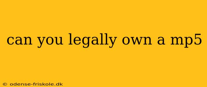 can you legally own a mp5