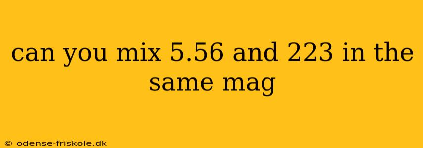 can you mix 5.56 and 223 in the same mag