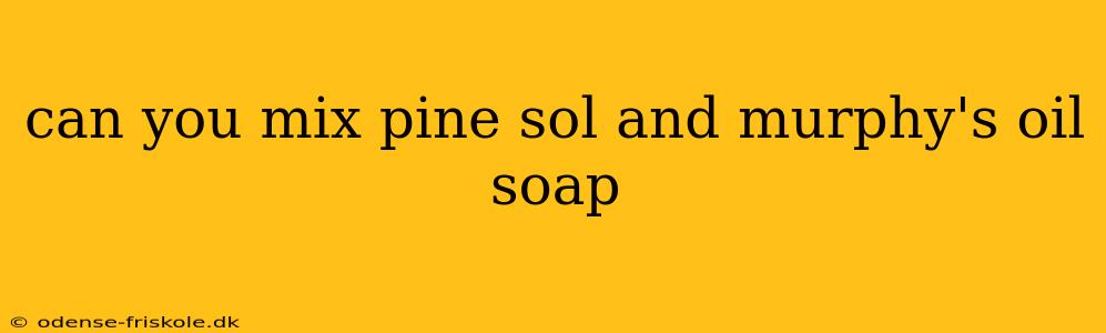 can you mix pine sol and murphy's oil soap