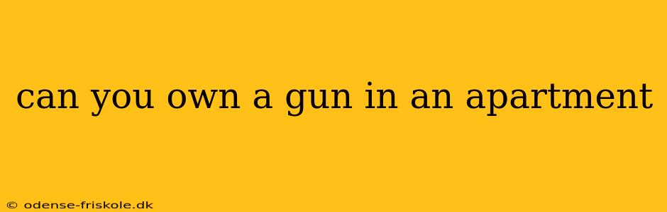 can you own a gun in an apartment