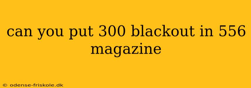 can you put 300 blackout in 556 magazine