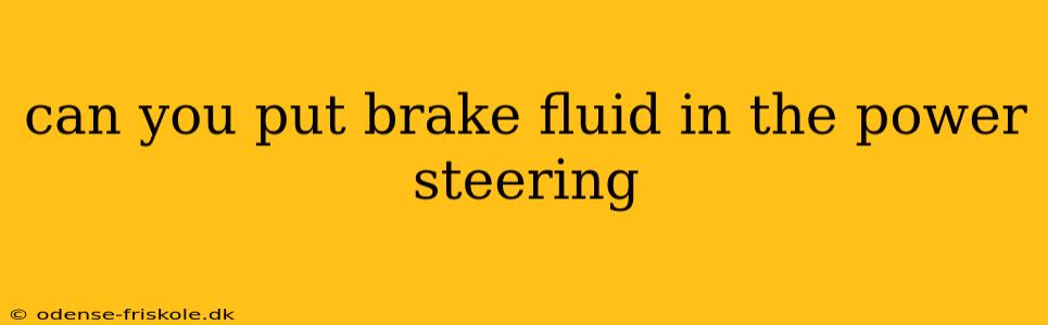 can you put brake fluid in the power steering