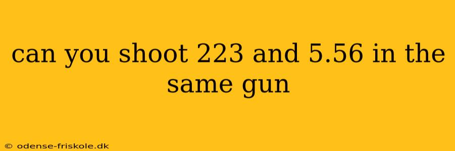 can you shoot 223 and 5.56 in the same gun