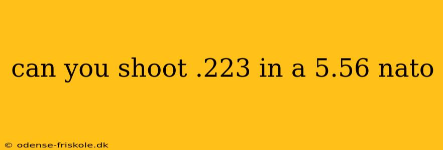 can you shoot .223 in a 5.56 nato