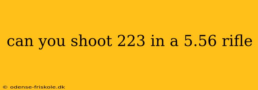 can you shoot 223 in a 5.56 rifle