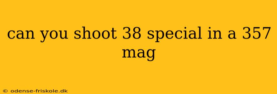 can you shoot 38 special in a 357 mag