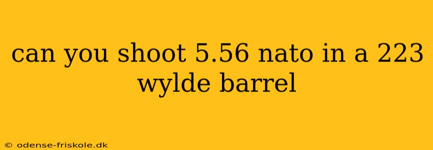 can you shoot 5.56 nato in a 223 wylde barrel