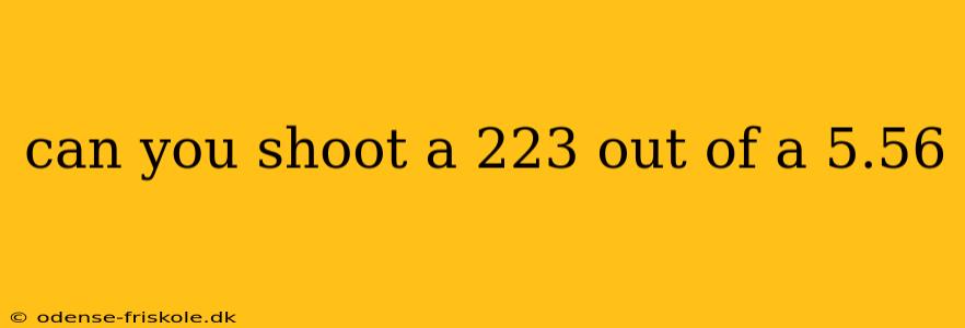 can you shoot a 223 out of a 5.56